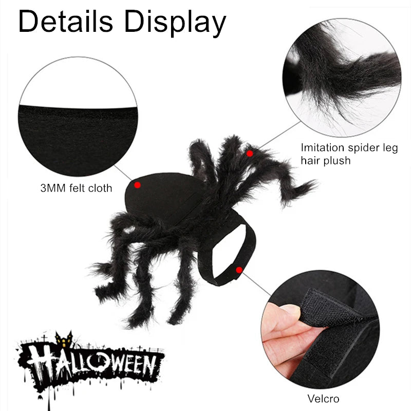 Cat  Spider Costumen Party Costumes
