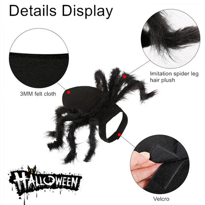 Cat  Spider Costumen Party Costumes