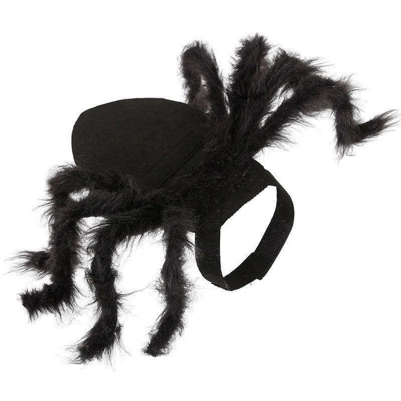 Cat  Spider Costumen Party Costumes