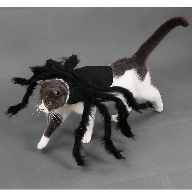 Cat  Spider Costumen Party Costumes