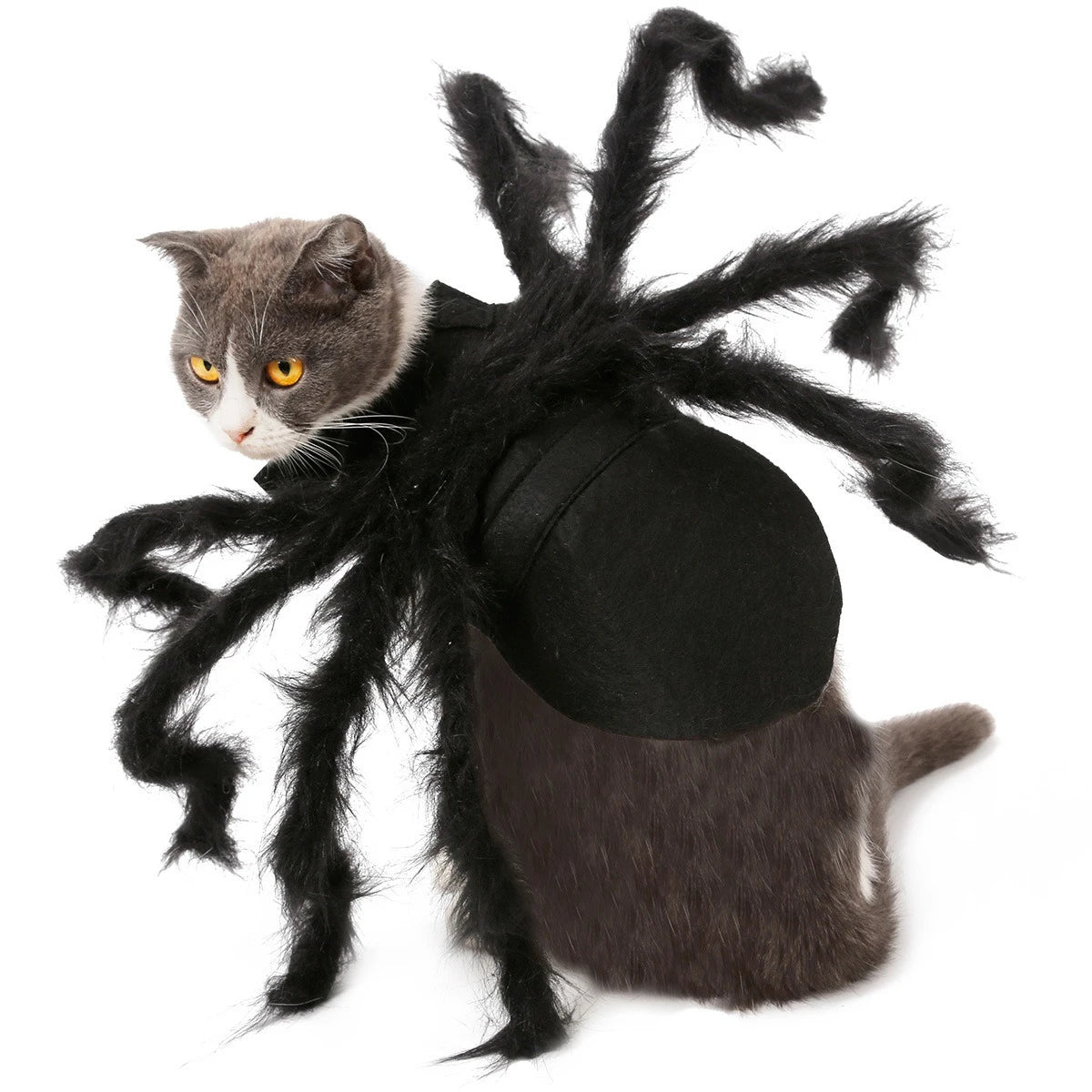 Cat  Spider Costumen Party Costumes