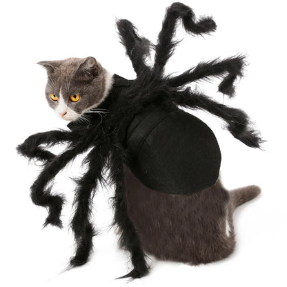 Cat  Spider Costumen Party Costumes